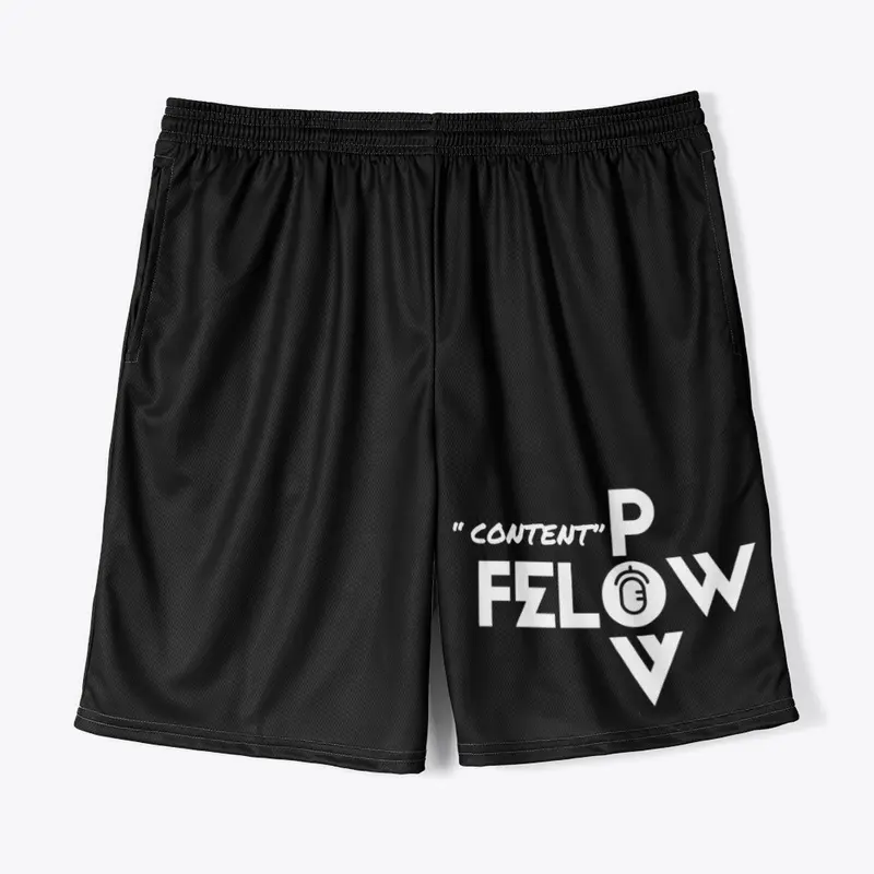 Felow POV Merch V1